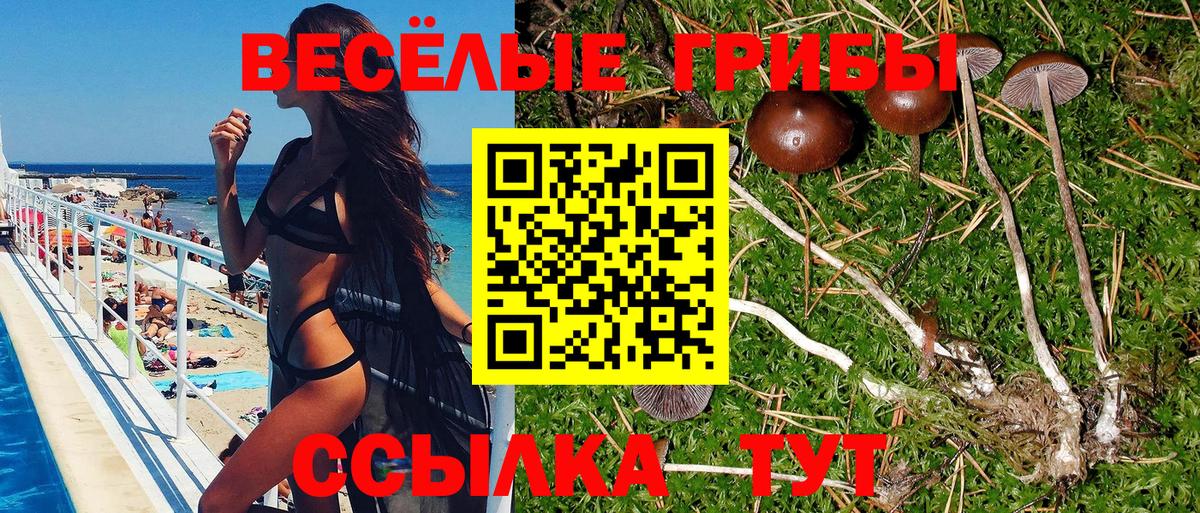 Псилоцибиновые грибы Magic Shrooms Касимов