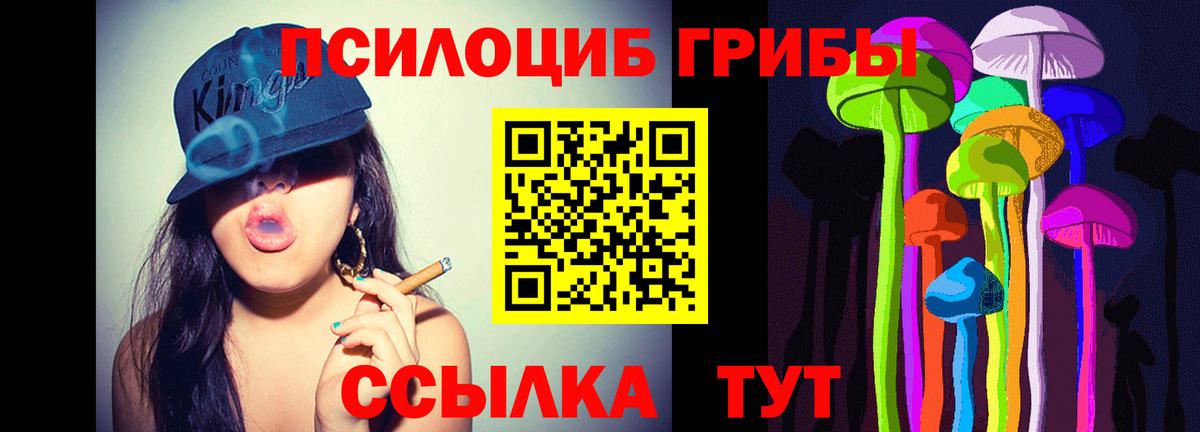 Псилоцибиновые грибы мицелий  Галлюциногенные грибы Cubensis  Вход с VPN  Касимов 